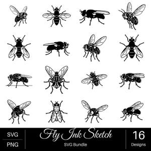 May include: A collection of 16 black and white digital illustrations of houseflies in various poses and angles. The graphic set includes top-down and side-profile views of the insects. The text Fly Ink Sketch SVG Bundle and 16 Designs is visible.