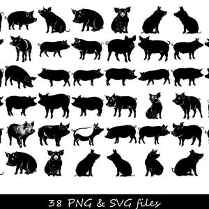 Paquete SVG de cerdo, SVG de cerdo, cara de cerdo SVG, cabeza de cerdo svg, silueta de cerdo svg, silueta de cara de cerdo svg, mostrar cerdo svg, cerdo de dibujos animados svg, algunos cerdos svg