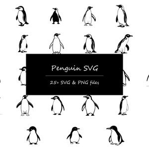 Paquete SVG de pingüino, SVG de pingüino, SVG de pingüino de Navidad, silueta de pingüino svg, pingüino de dibujos animados svg, pingüino cricut, lindo pingüino svg