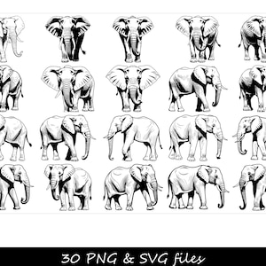 Svg éléphant, visage d'éléphant SVG, mandala éléphant SVG, svg silhouette éléphant, bébé éléphant svg, svg éléphant mignon, svg éléphant de l'Alabama