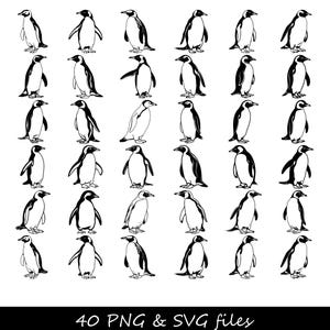 Paquete SVG de pingüino, SVG de pingüino, SVG de pingüino de Navidad, silueta de pingüino svg, pingüino de dibujos animados svg, pingüino cricut, lindo pingüino svg