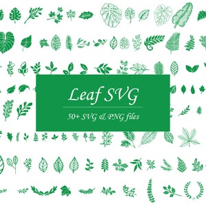 Leaf SVG, Pot Leaf SVG, Tropical Leaf SVG, Palm Leaf svg, Monstera Leaf svg, Gingko Leaf svg Four Leaf Clover svg Oak Leaf svg Leaf Vine svg