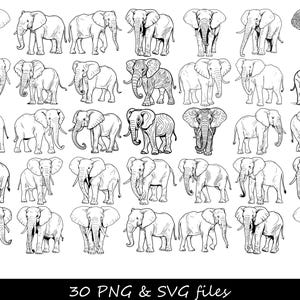 Może przedstawiać: Kolekcja 30 czarno-białych rysunków słoni w różnych pozach. Słonie są wszystkie zwrócone przodem i mają uniesione trąby. Rysunki są proste i eleganckie i idealnie nadają się do wykorzystania w różnych projektach.