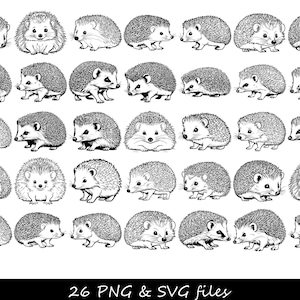Hedgehog Svg, Hedgehog Clipart, Hedgehog Png, Hedgehog Head, Hedgehog Cut Files For Cricut, Hedgehog Silhouette SVG