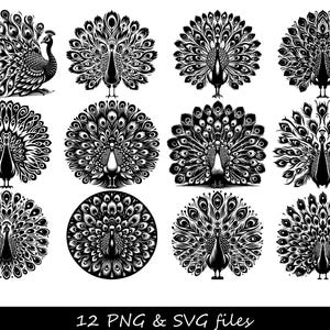 Peacock SVG-bundel, pauwenveer SVG, pauwenmandala svg, pauw silhouet svg, pauw clipart, pauw png, vogel svg, dierlijke svg