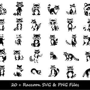 Raton laveur SVG, SVG visage de raton laveur, raton laveur Silhouette SVG, Clipart raton laveur, png de raton laveur, fusée raton laveur svg, svg animal mignon, raton laveur Tshirt svg