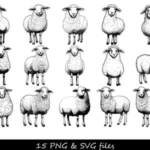 Pecora SVG, Pecora PNG, Pecora Clipart, Animale da fattoria SVG, Agnello svg, Testa di pecora svg, Pecora svg, Fattoria svg, Animale carino svg, Vita in fattoria svg