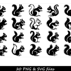 Écureuil SVG, SVG écureuil mignon, SVG Animal de la forêt, Clipart écureuil, Silhouette écureuil svg, svg écureuil automne, dessin animé écureuil