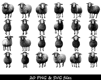 Sheep SVG, Sheep PNG, Sheep Clipart, Farm Animal SVG, Lamb svg, Sheep Head svg, Little Sheep svg, Farm svg, Cute Animal svg, Farm Life svg