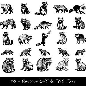Raton laveur SVG, SVG visage de raton laveur, raton laveur Silhouette SVG, Clipart raton laveur, png de raton laveur, fusée raton laveur svg, svg animal mignon, raton laveur Tshirt svg