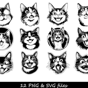 Lot de chat SVG, svg silhouette de chat, chat drôle, svg visage de chat, maman chat svg, svg chat furtivement, chat citations svg, svg chat noir, dame chat fou