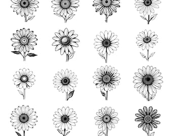 Daisy Flower SVG, Daisy Flower PNG, Daisy svg, Daisy PNG, Cute Daisy svg, Daisy Outline, Floral svg, Daisy Shirt, Boho Daisy, Spring Flower