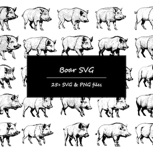 Boar SVG bundle, wild boar SVG, wild boar PNG, wild boar cricut, zoo animal svg, boar laser cut, animal svg, boar clipart, wild pig svg