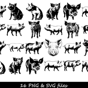 Pig SVG bundle, Pig SVG, pig face SVG, pig head svg, pig silhouette svg, pig face silhouette svg, show pig svg, cartoon pig svg,some pig svg