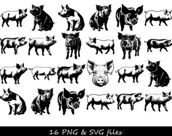 Paquete SVG de cerdo, SVG de cerdo, cara de cerdo SVG, cabeza de cerdo svg, silueta de cerdo svg, silueta de cara de cerdo svg, mostrar cerdo svg, cerdo de dibujos animados svg, algunos cerdos svg
