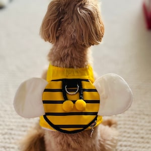 Dog Adjustable Harness and Leash Set, Halloween Honeybee Costume, with Zip Pocket, Puppy Harness, Vest, Backpack, Bumble bee, Bee Happy