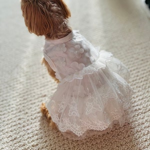 Dog Wedding Dress, Dog Flower Girl, Dog Gown, Dog Birthday Party Dress, Pet Gown, Pearl and Lace, Dog gift, Wedding gift, Teacup Puppy dress