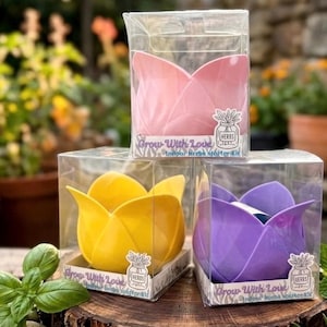 May include: Three indoor herb starter kits in clear boxes. The kits are tulip-shaped in pink, yellow, and purple. Each box has the text "Grow With Love" and "Indoor Herb Starter Kit". The kits are on a wooden surface.
