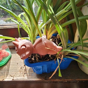Dino-Mite Plant Pot Decor - Playful Dinosaur Pot Accessories that Make Plant Care Fun and Easy