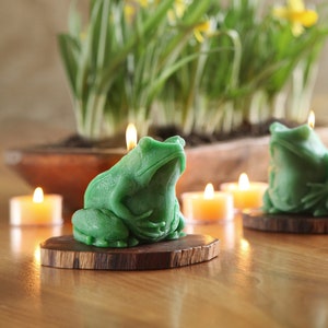May include: Two green frog-shaped candles on wooden bases. The candles are lit and surrounded by small white tea lights.