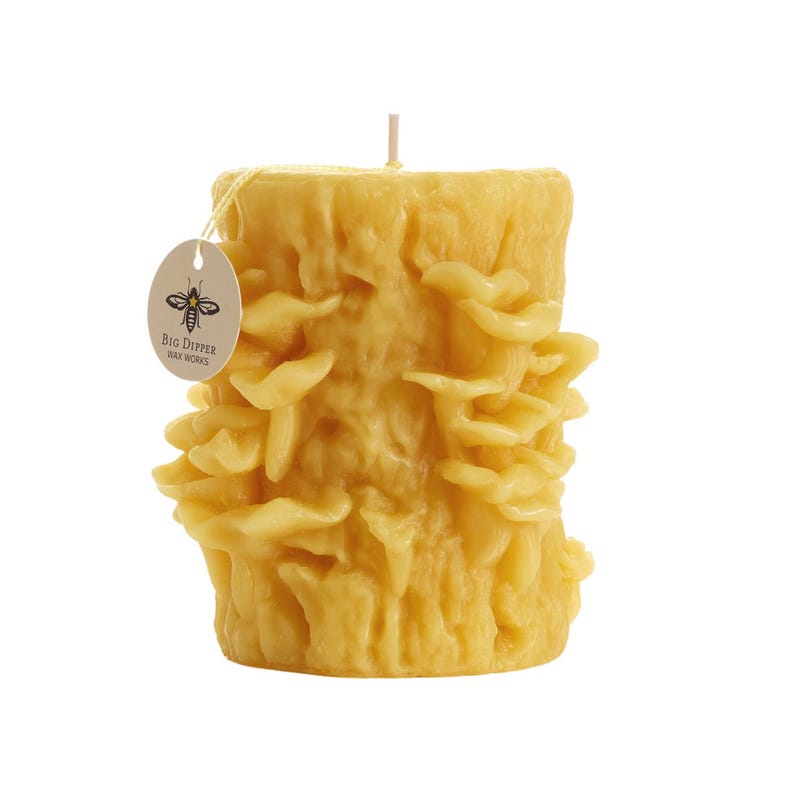 Big Dipper Wax Works 
Beeswax Oyster Mushroom Candle 
Burn Time: 60 Hours
Dimensions: 3.25" x 4"
Wax: Beeswax
Wick: Cotton
Scent: Unscented
Upright