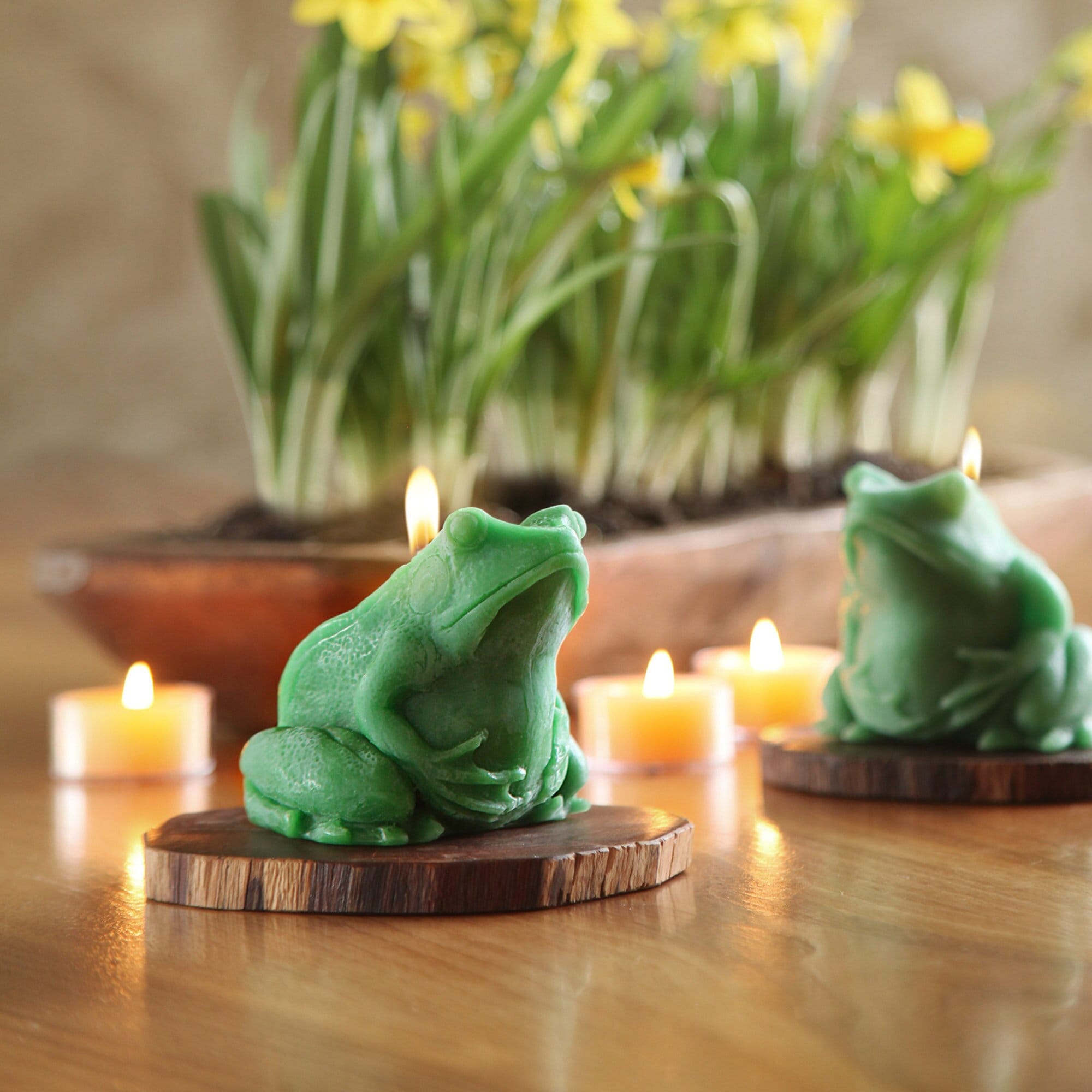 置物 handmade Beeswax Frog Candle | 3D Frog Candle | Hand Crafted Candle | All