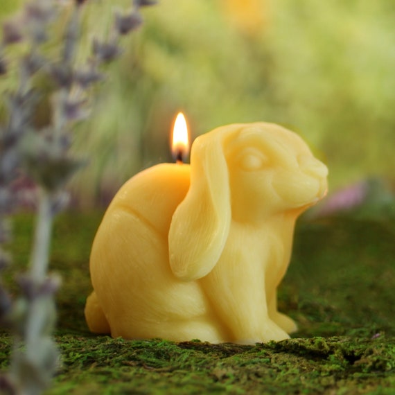 Beeswax Candle Sampler