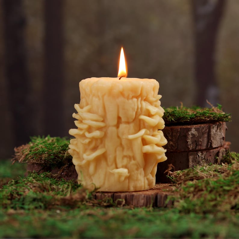 May include: A tall, cylindrical candle with a textured, tree bark-like design. The candle is made of beeswax and has a warm, honey-colored hue. The candle is lit and the flame is casting a warm glow.