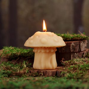 May include: A beige mushroom-shaped candle with a lit wick. The candle is sitting on a bed of green moss.