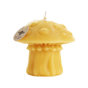 May include: A yellow beeswax candle shaped like a mushroom with a white wick. The candle has a label that says "Big Dipper Bee Works".