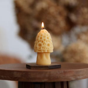 Beeswax Mushroom Candles | 3D Mushroom Candles | Nature Candle | Home Decor | Rustic Candles | Spring | Easter | Mother's Day image 10