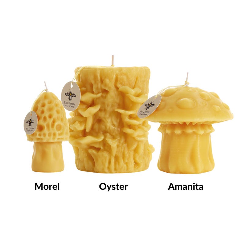 May include: Three beeswax candles shaped like mushrooms. The candles are labeled "Morel", "Oyster", and "Amanita".
