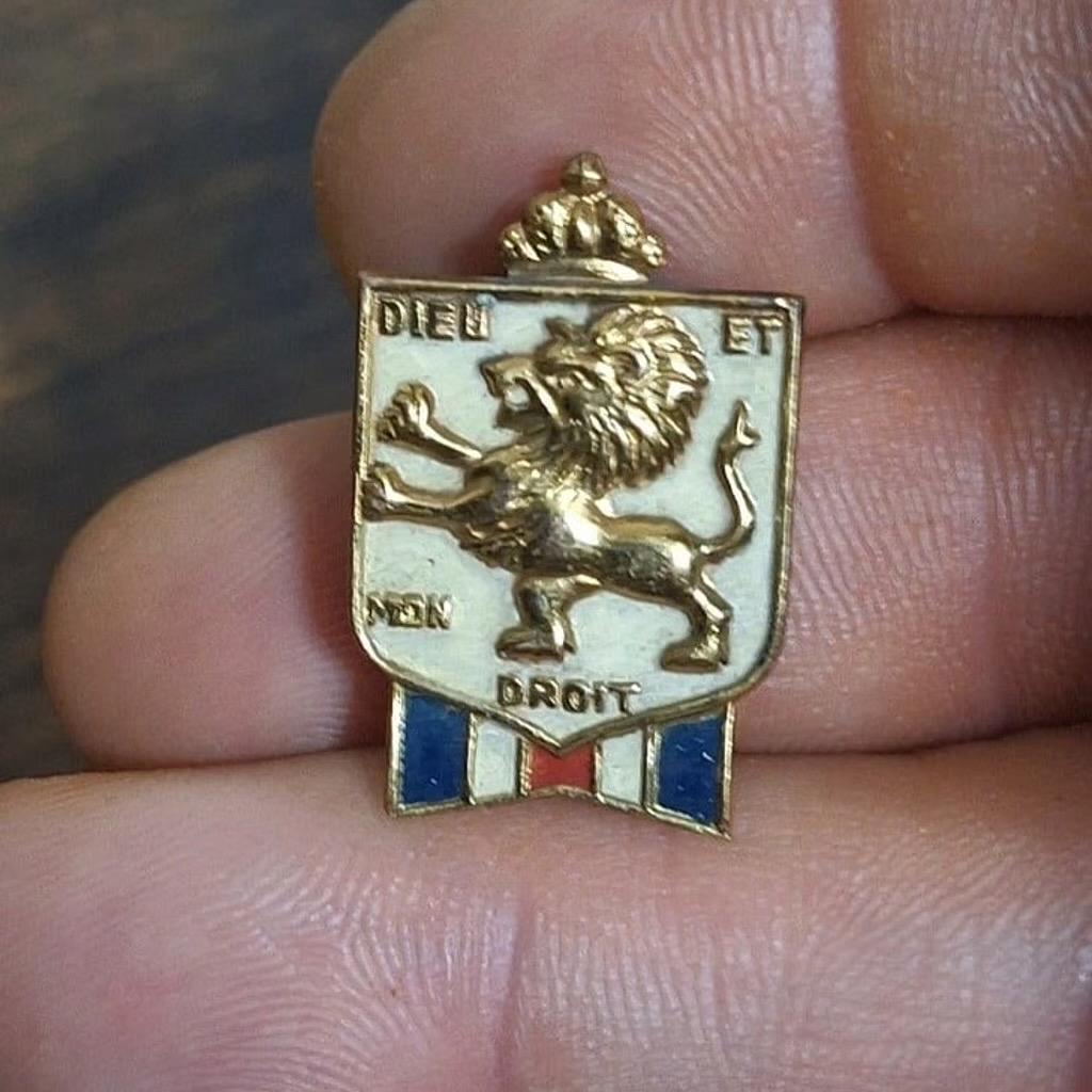 1940s WWII Dieu Et Mon Droit British War Relief Society Lion Pin - Etsy