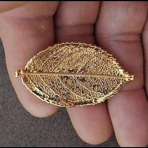 Gold Tone Textured Leaf Pin Brooch
