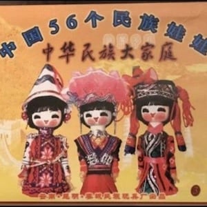 Collectible Chinese Dolls Collection