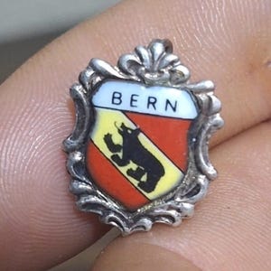 70s Bern, Switzerland Porcelain Silver Tone Pin