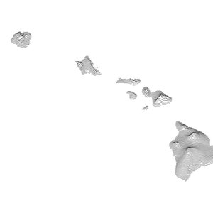 May include: A black and white line art illustration of the state of Hawaii. The islands are depicted with a topographic style, showing the elevation changes.