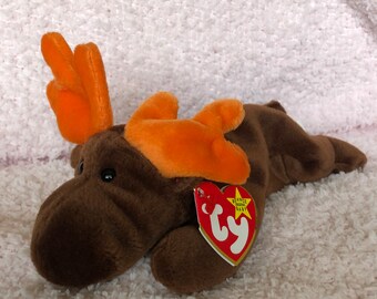 RARE TY 1993 Beanie Baby Chocolate the Moose - Etsy