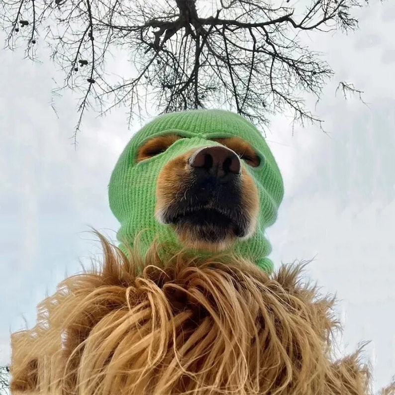 Ski Mask Dog Winter Hat Dog Beanie Labrador Hats Golden Hat Dog Beanie Fur Baby Beanies Hats for