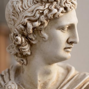 May include: A detailed, off-white bust of a classical figure, showcasing a profile view. The sculpture features intricate details in the hair and drapery, with a decorative clasp on the shoulder. The overall aesthetic suggests a historical or antique theme.