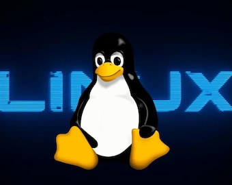 10 of the most popular Linux distributions (distros) on ONE USB flash drive!