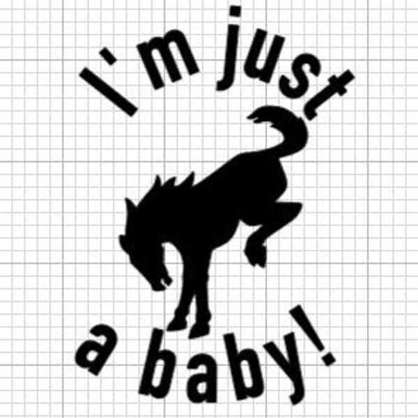 I'm Just a Baby! Ford Bronco Car Decal