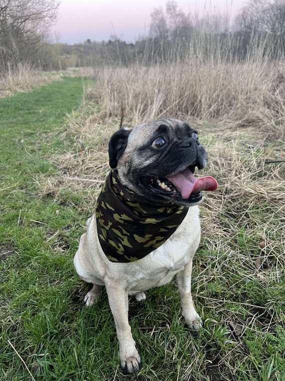 Camo dog bandana