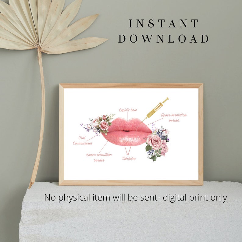 Lip Anatomy Arts Poster, Lip Filler, Aesthetic Poster, Lip Filler