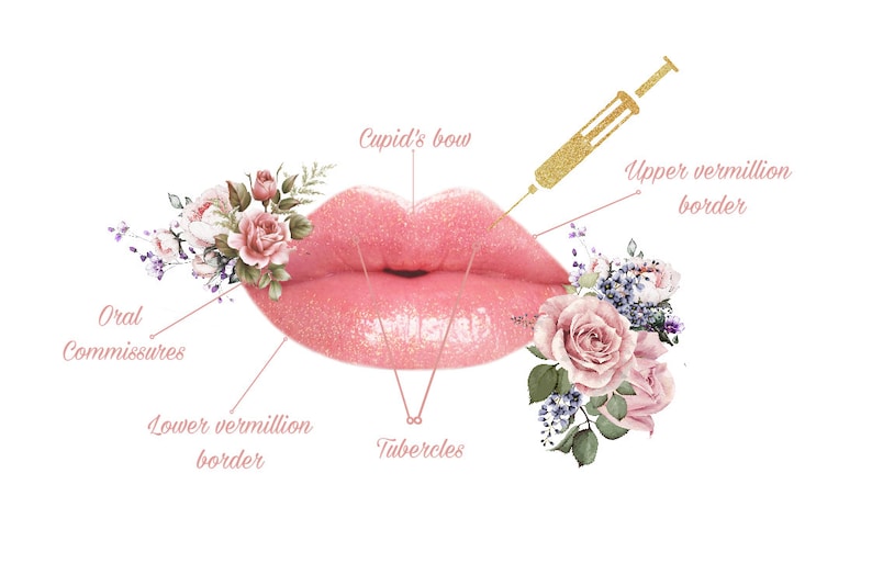 Lip Anatomy Arts Poster, Lip Filler, Aesthetic Poster, Lip Filler