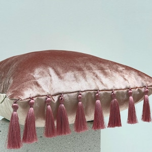 Può includere: Un cuscino in velluto rosa antico con una fila di nappe abbinate lungo il bordo. Il cuscino ha un retro beige chiaro e una chiusura con cerniera. Le nappe sono lunghe circa 10 cm.