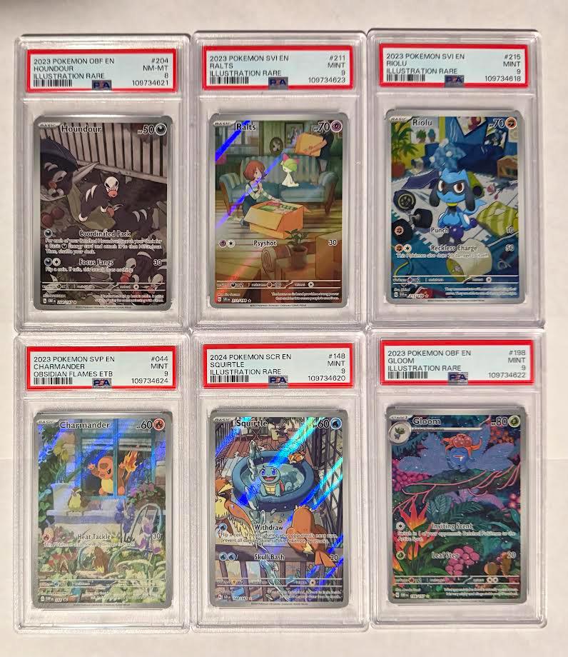 Phalanx Graded Trading Card Protector, 100 Pcs, Cardboard