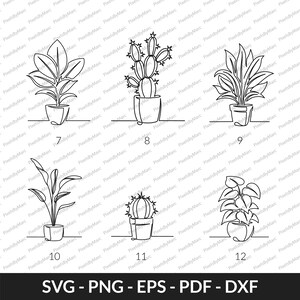Pu&ograve; includere: Un set di otto disegni in bianco e nero di piante in vaso. Le piante includono un cactus, una pianta serpente, una spatafillo, un ficus lirata e una succulenta. Ogni pianta &egrave; numerata da 7 a 12.