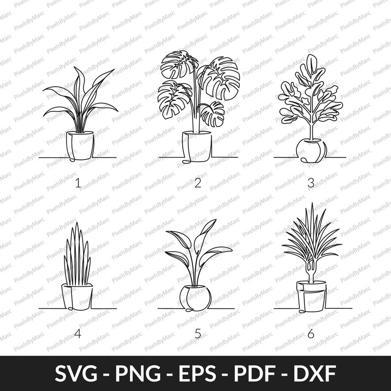 Pu&ograve; includere: Sei disegni a linea di piante in vaso. Ogni pianta &egrave; disegnata in uno stile semplice e minimalista. Le piante sono numerate da 1 a 6.