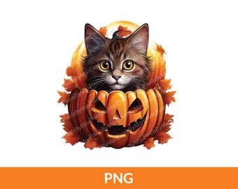 Könnte beinhalten: Eine braune Tabby-Katze schaut aus einem geschnitzten orangefarbenen Kürbis mit einem Jack-o'-Lantern-Gesicht. Der Kürbis ist von Herbstblättern umgeben.